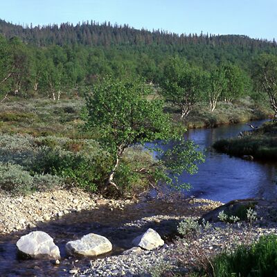 Kamera: D:\Daten\Bilder\Roh-Scan\Schweden\Web\Fj&auml;ll Vorland06.jpg<br>
400 x 400 - 49,8 KB
