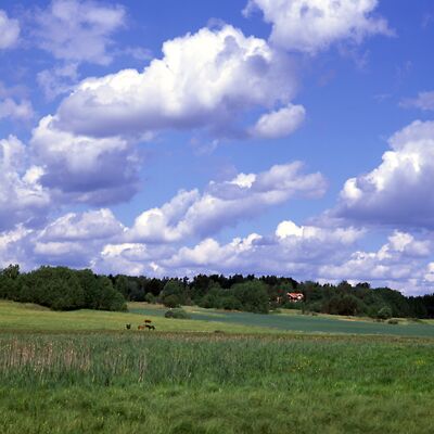 Kamera: D:\Daten\Bilder\Roh-Scan\Schweden\Web\Schutzgebiet06.jpg<br>
400 x 400 - 27,5 KB