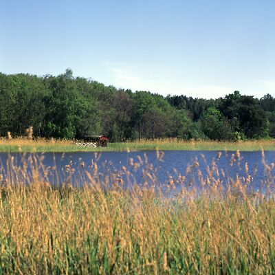 Kamera: D:\Daten\Bilder\Roh-Scan\Schweden\Web\Seeufer01.jpg<br>
400 x 400 - 35,9 KB