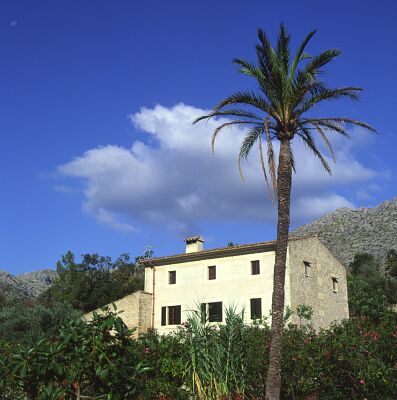 Camera: D:\Daten\Bilder\Reisen\Mallorca\Web\Haus mit Palme.jpg<br>
0 x 0 - 31,6 KB