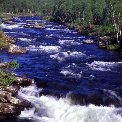 Camera: D:\Daten\Bilder\Roh-Scan\Schweden\Web\Fluss01.jpg<br>
400 x 400 - 45,5 KB