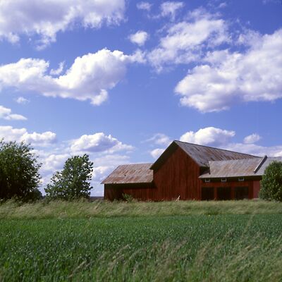 Camera: D:\Daten\Bilder\Roh-Scan\Schweden\Web\Hof17.jpg<br>
400 x 400 - 30,8 KB