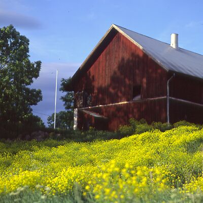 Camera: D:\Daten\Bilder\Roh-Scan\Schweden\Web\Hof03.jpg<br>
400 x 400 - 36,1 KB