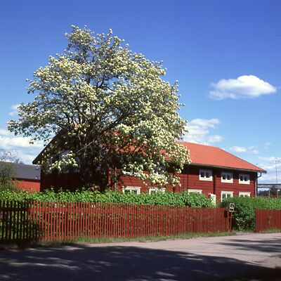 Camera: D:\Daten\Bilder\Roh-Scan\Schweden\Web\Falun08.jpg<br>
400 x 400 - 41,6 KB