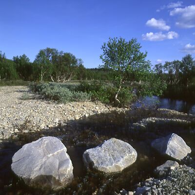 Camera: D:\Daten\Bilder\Roh-Scan\Schweden\Web\Fj&auml;ll Vorland08.jpg<br>
400 x 400 - 36,8 KB