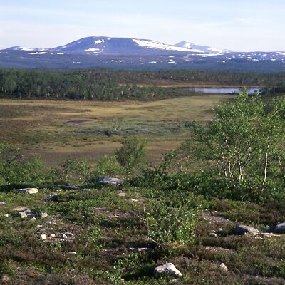 Camera: D:\Daten\Bilder\Roh-Scan\Schweden\Web\Fj&auml;ll Vorland04.jpg<br>
400 x 400 - 43,0 KB