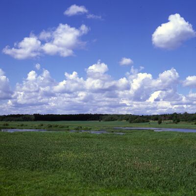Camera: D:\Daten\Bilder\Roh-Scan\Schweden\Web\Schutzgebiet03.jpg<br>
400 x 400 - 26,8 KB