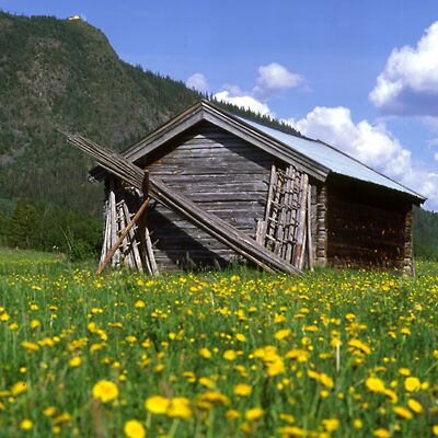 Camera: D:\Daten\Bilder\Roh-Scan\Schweden\Web\H&uuml;tte01.jpg<br>
400 x 400 - 41,3 KB